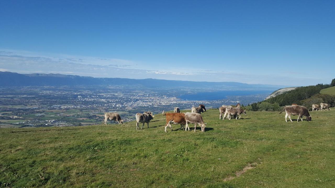 Appartement Au Calme Avec Terrasse Verdoyante Entre Annecy Et Geneve Villy-le-Pelloux 외부 사진